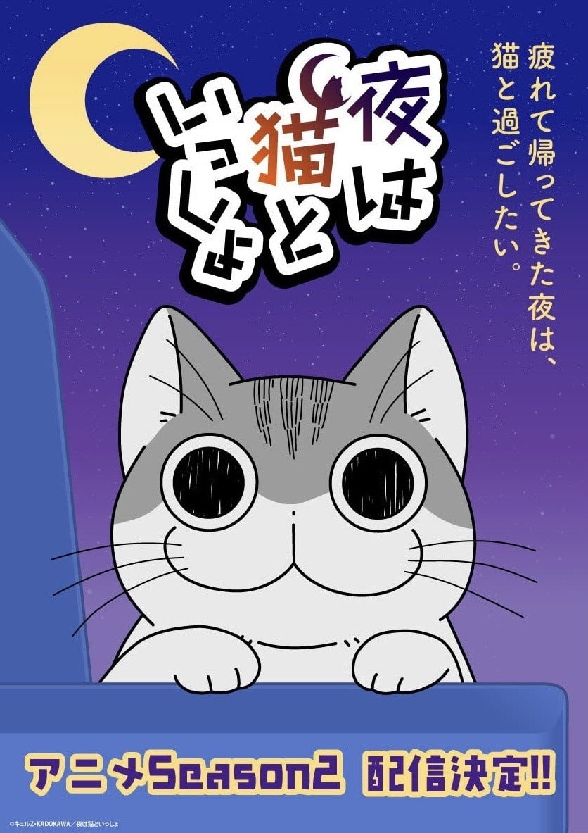 关于养猫我一直是新手 第二季 2023 动漫海报